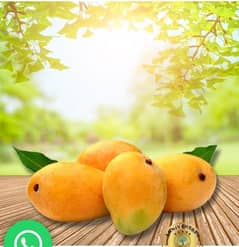 Mango Late chaunsa 8 kg pack