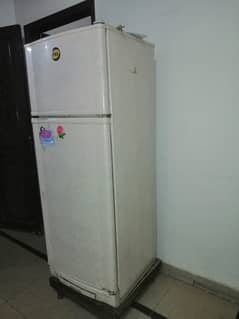 PEL