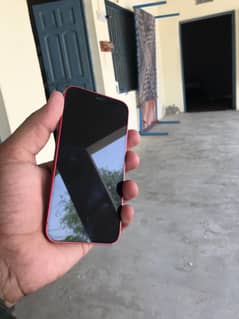 iPhone 12 mini
