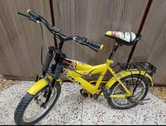 Heavy Duty Bicycle
