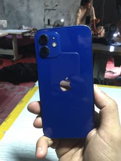 I fhone 12