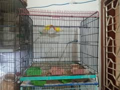 sale birs