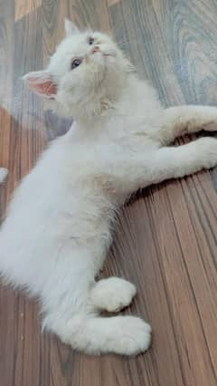 3-months