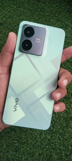 vivo