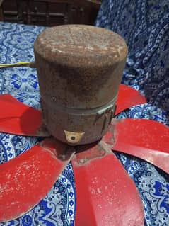 Air cooler motor