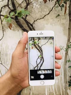 iPhone 6s Plus bypass 64 gb