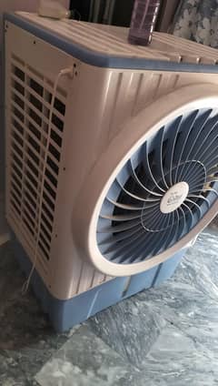 air collaar for sale