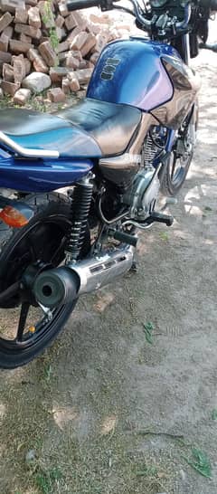 YBR 125