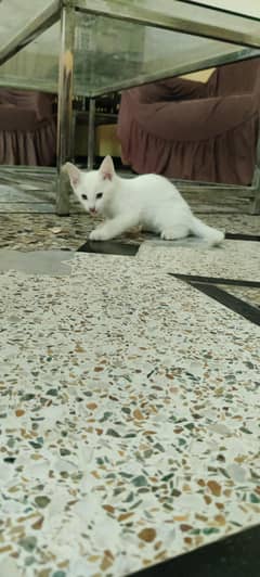 Mother and son