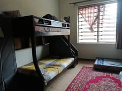 Bunk