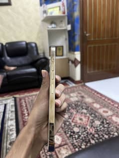 iPhone 13 Pro Max factory