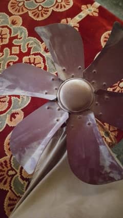 lahori cooler pankha