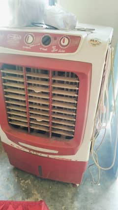 Pak Asia cooler