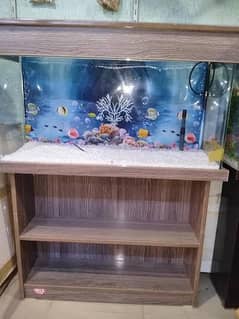 3 Feet Fish Aquarium