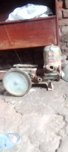 nagina