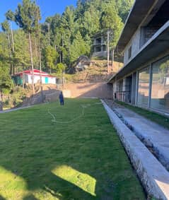 Hotel Suites In Murree Patriata