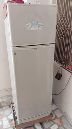 Dowlice refrigerators