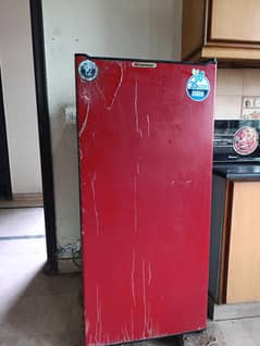 one door with separate freezer
