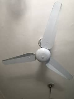 Sonex