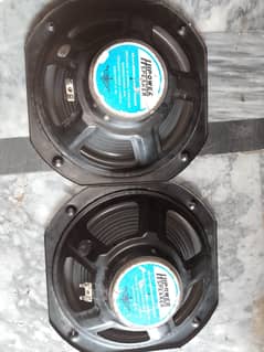 Hi power. speaker.  255 mm.  Ceramic Magnet woofer