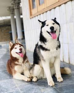 With