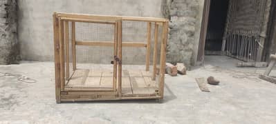 cages birds all