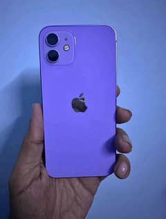 iPhone 12