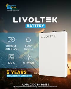 Livoltek BATTERY Lithium Ion LiFePO4 51.2V 100A