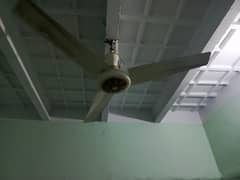 PHILCO FANS 4 month use
