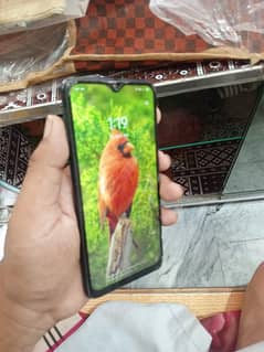 vivo s1 just phone 4.128 price fnl 14500