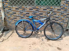 cycle whatshap no 0330+125+9905