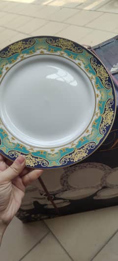 brand new bone china