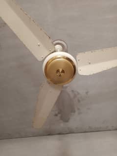 2 Celling fans