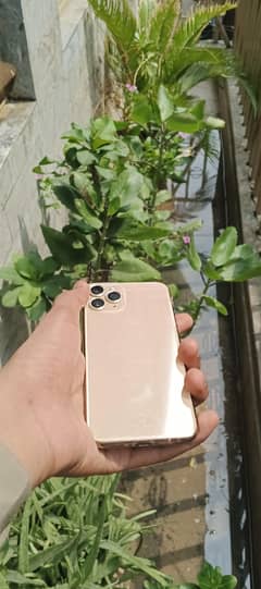 iphone 11 pro non pta