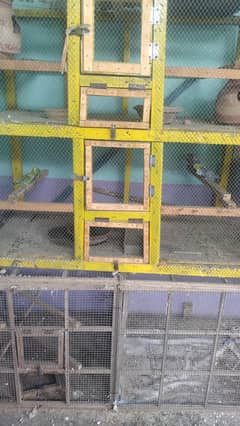cage