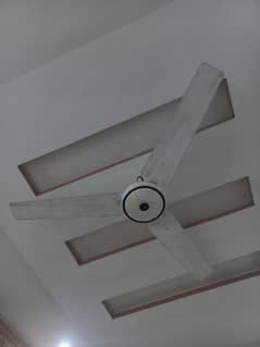 ceiling fan