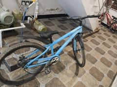 imported cycle