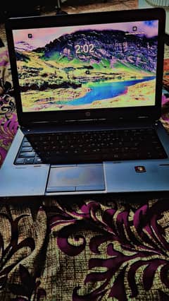 HP