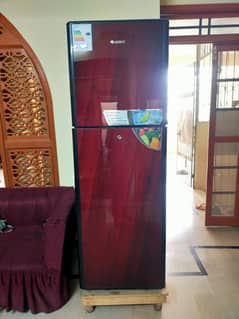 Gree Medium Size Fridge – Excellent Condition