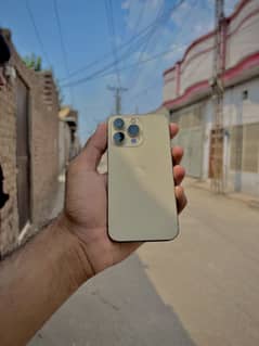 iPhone 13pro