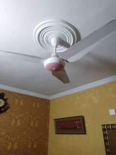 celling fan