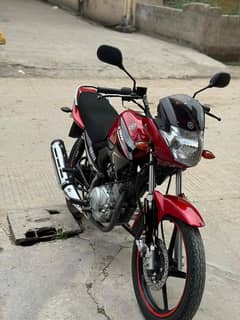 Yamaha YBR 125 2022 Model