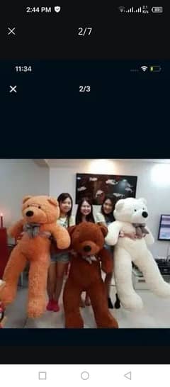 Teddy Bear