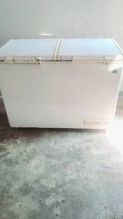 freezer 03004666722