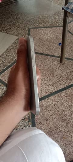 15 PM Natural Titanium 256 GB JV