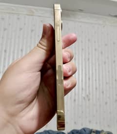 Iphone 12 pro 256 gb Non pta
