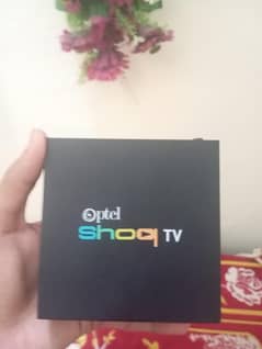 PTCL Shoq TV