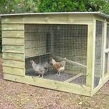 hen cages khudda