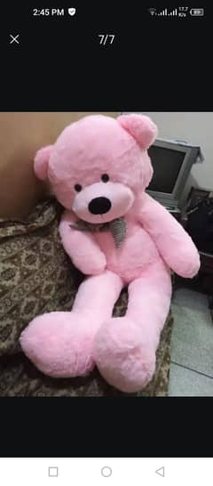 TEDDY