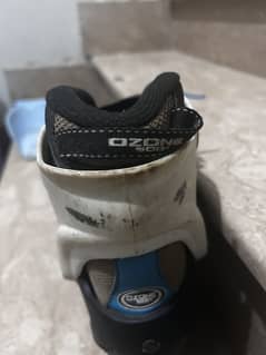 Skating